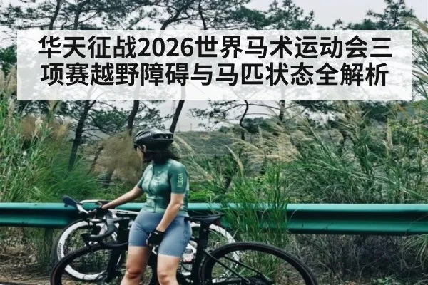 华天征战2026世界马术运动会三项赛越野障碍与马匹状态全解析